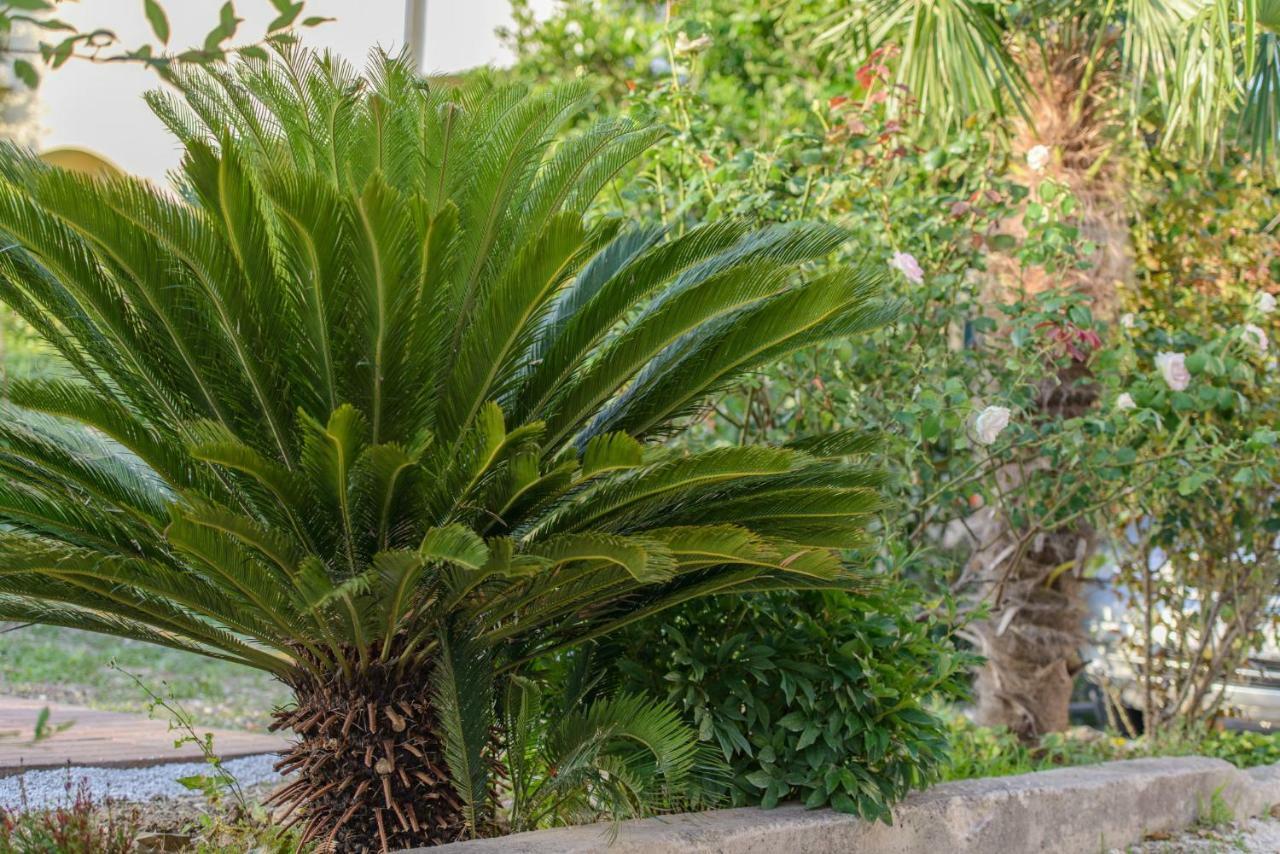Green Garden House Kaštela المظهر الخارجي الصورة
